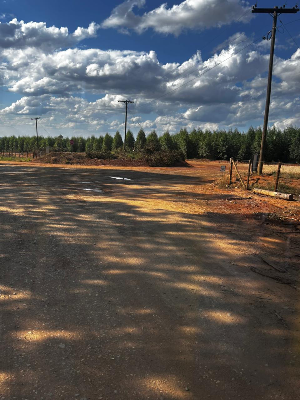 passeio de ônibus 20/03/2026