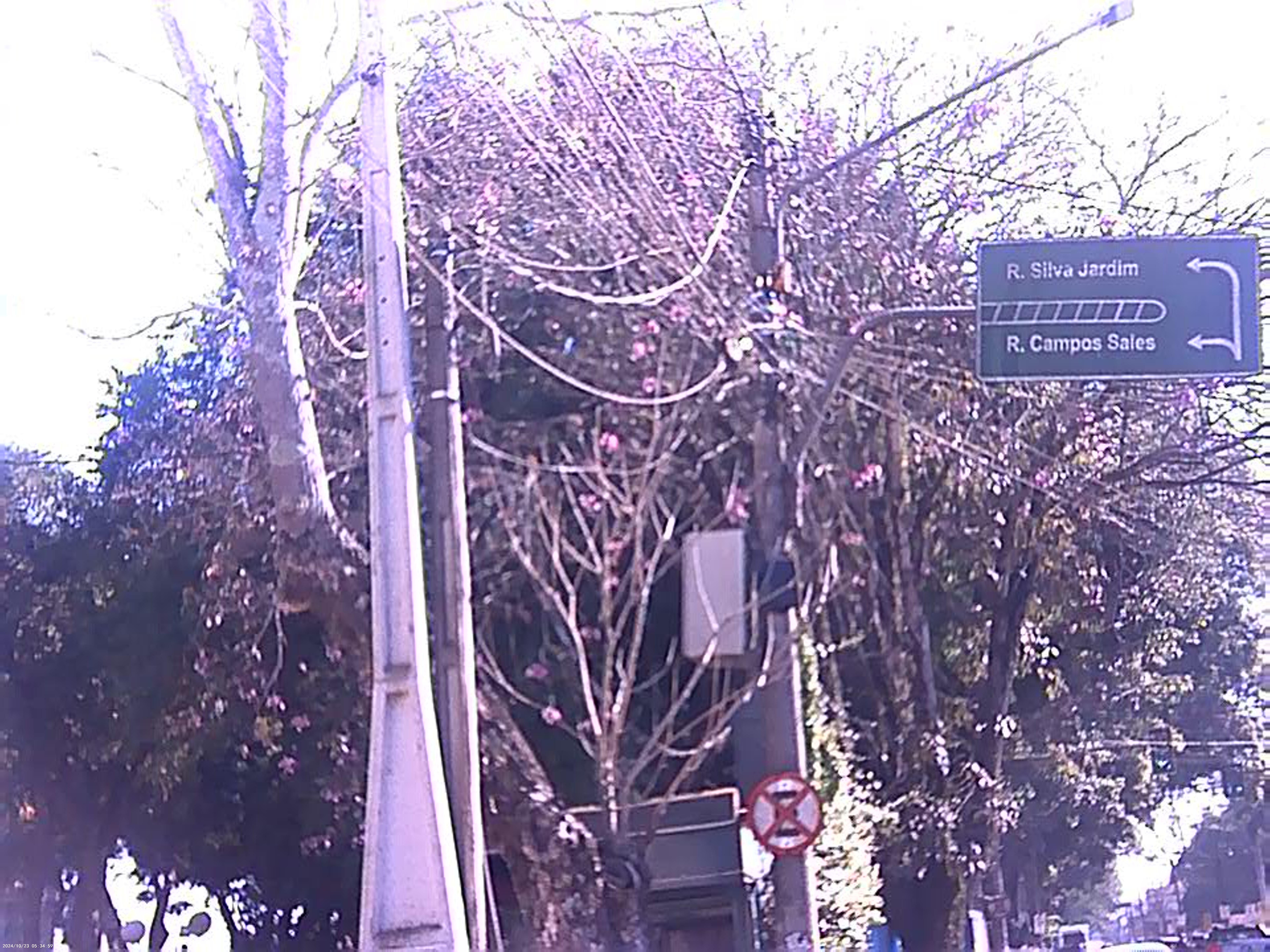 passeio em Itapetininga